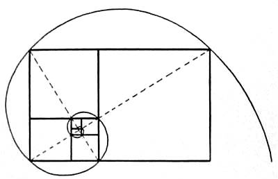 Fig. 6 — The Logarithmic Spiral Tangent to the corners of the Revolving Squares